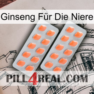 Ginseng Für Die Niere 27